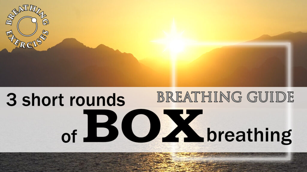 miniature Box exercises
